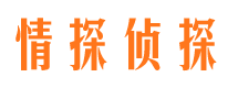 山亭婚外情调查取证